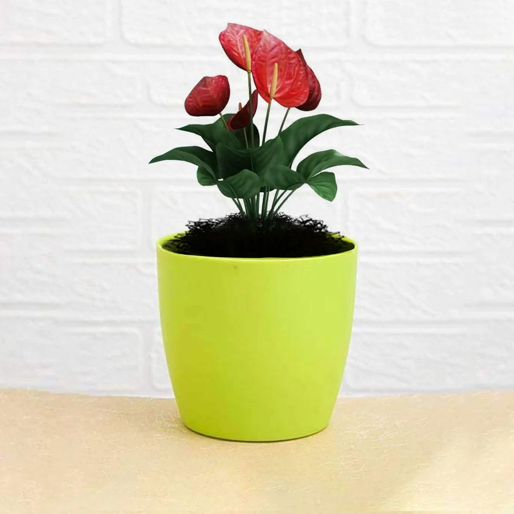 Colorful Round Flower Pots