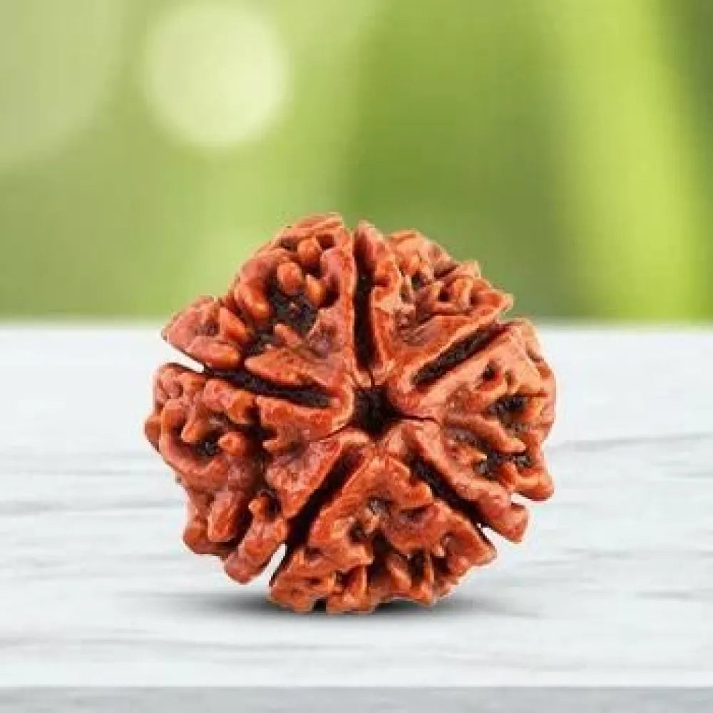 108 beads rudraksha jaap mala