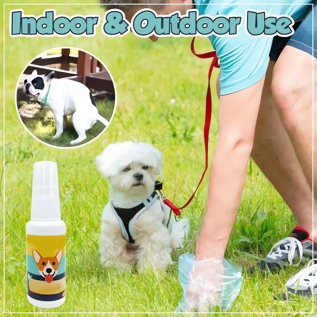Potty Training Spray for Dog & Cat (Pack of 2)