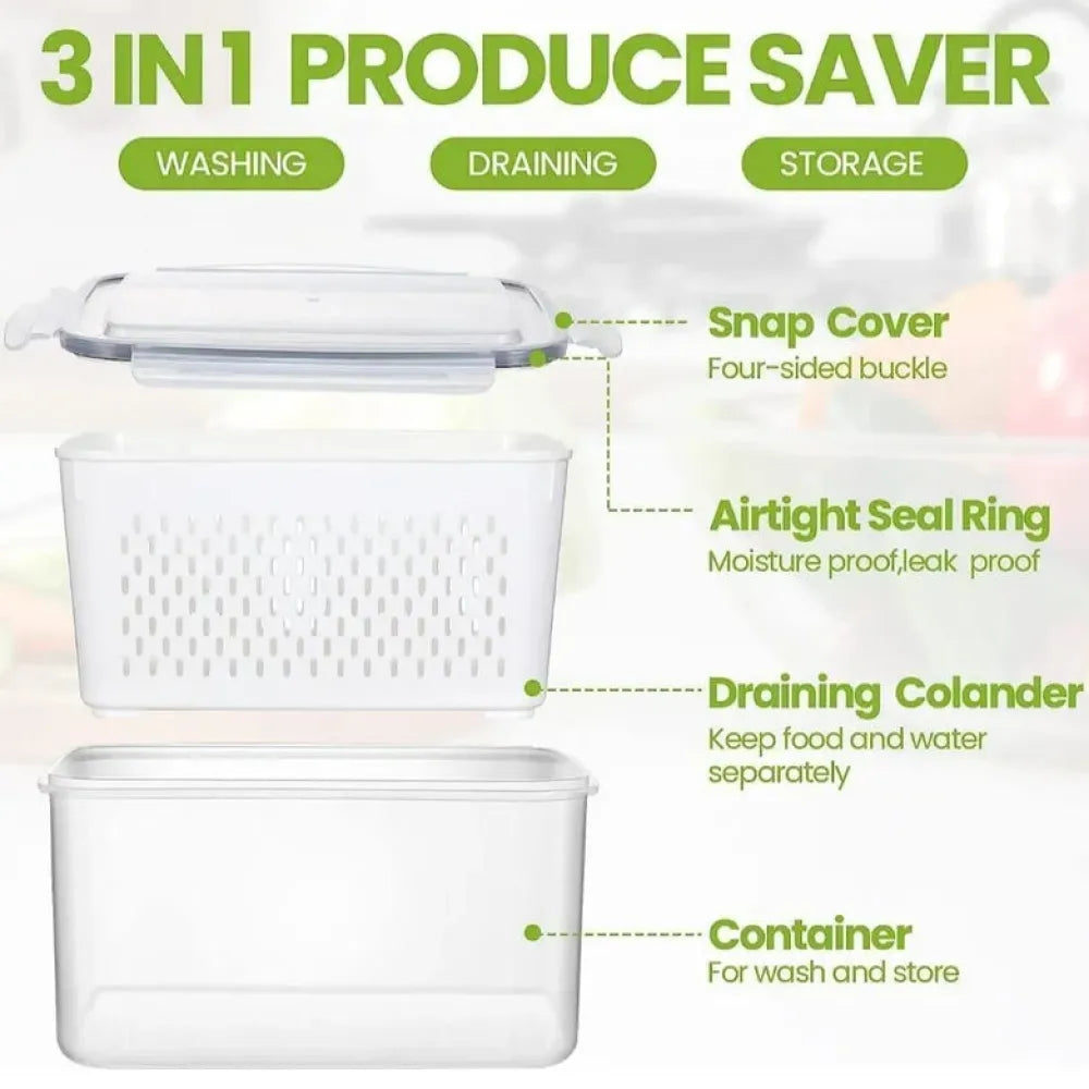 2-piece food container set