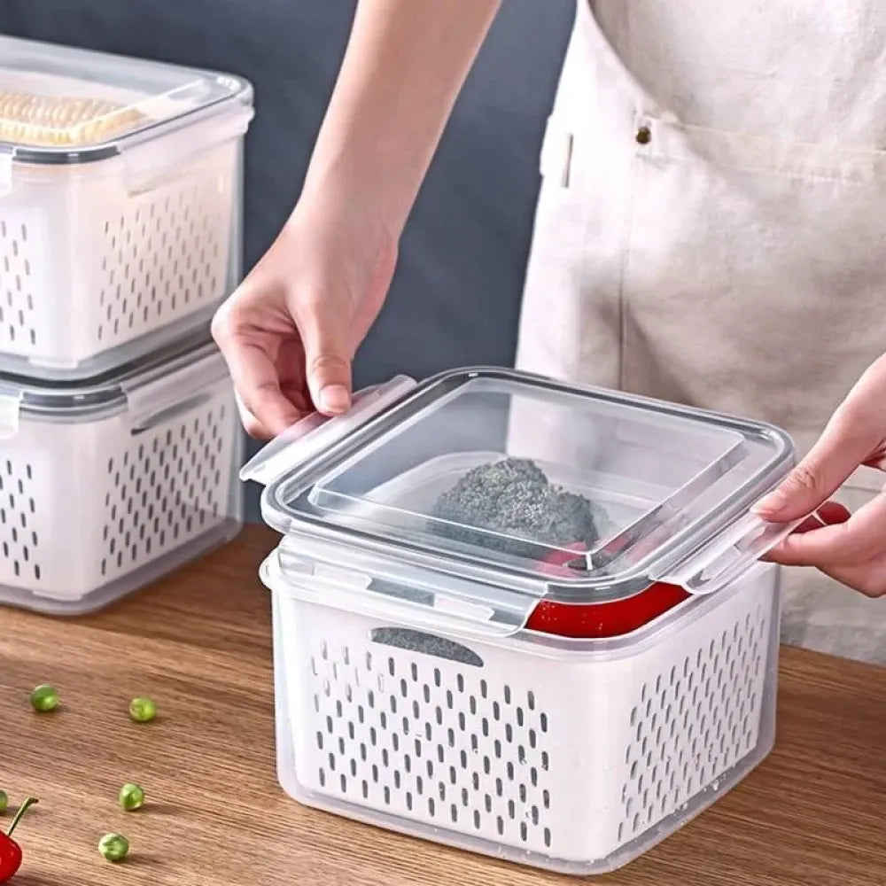2-piece food container set