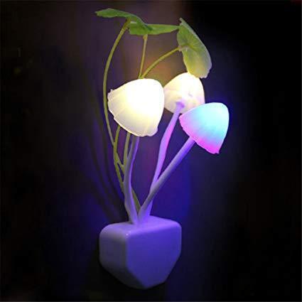 Colorful Mushroom Night Light