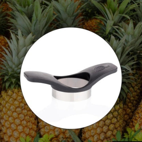 Pineapple Cutter & Slicer Tool