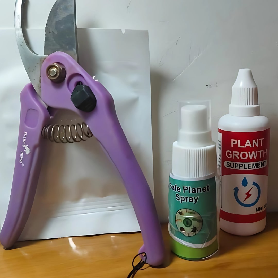 Organic Plant Care Combo