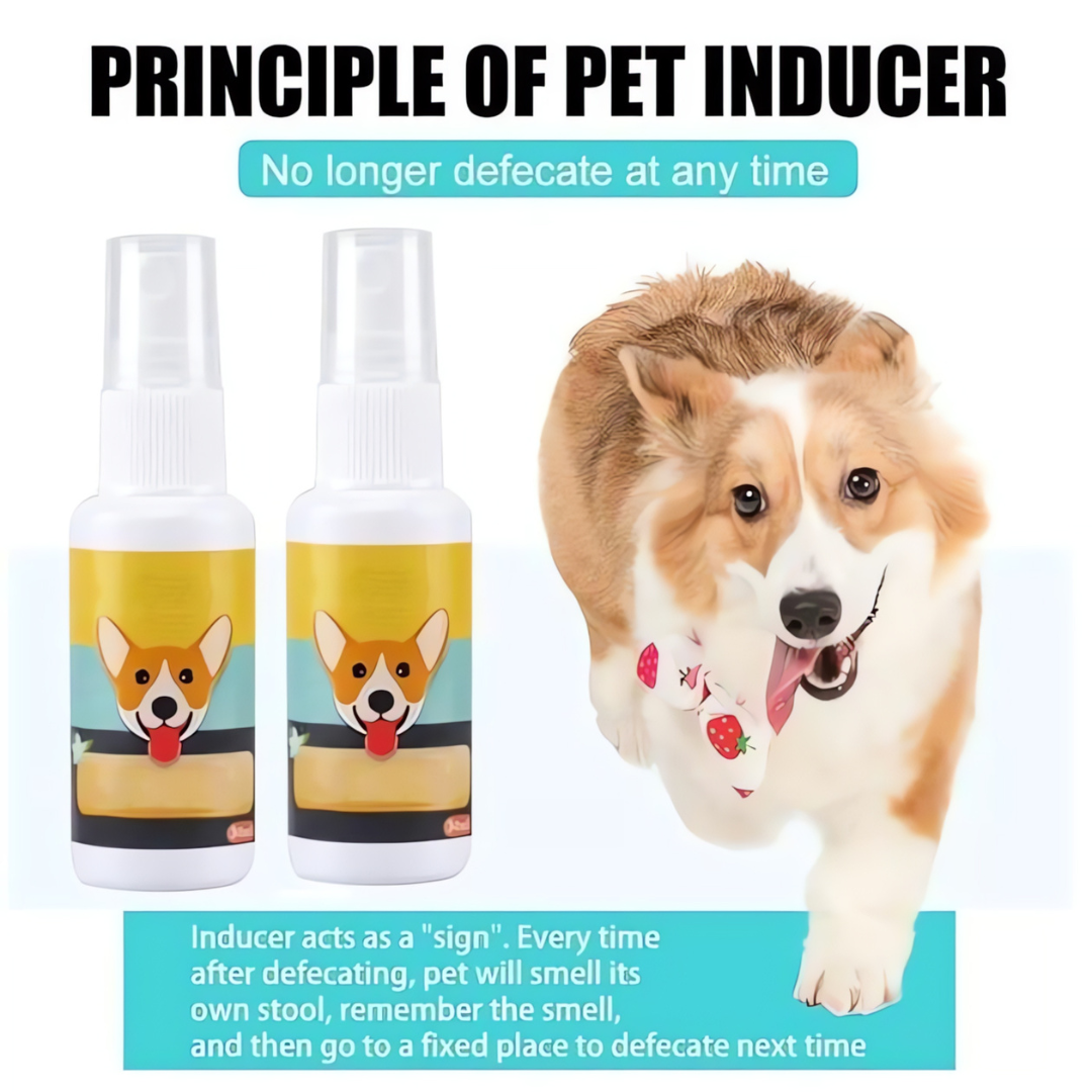 Potty Training Spray for Dog & Cat (Pack of 2)
