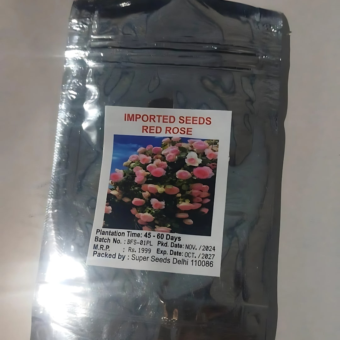 Elegant Climbing Rose Flower Seeds