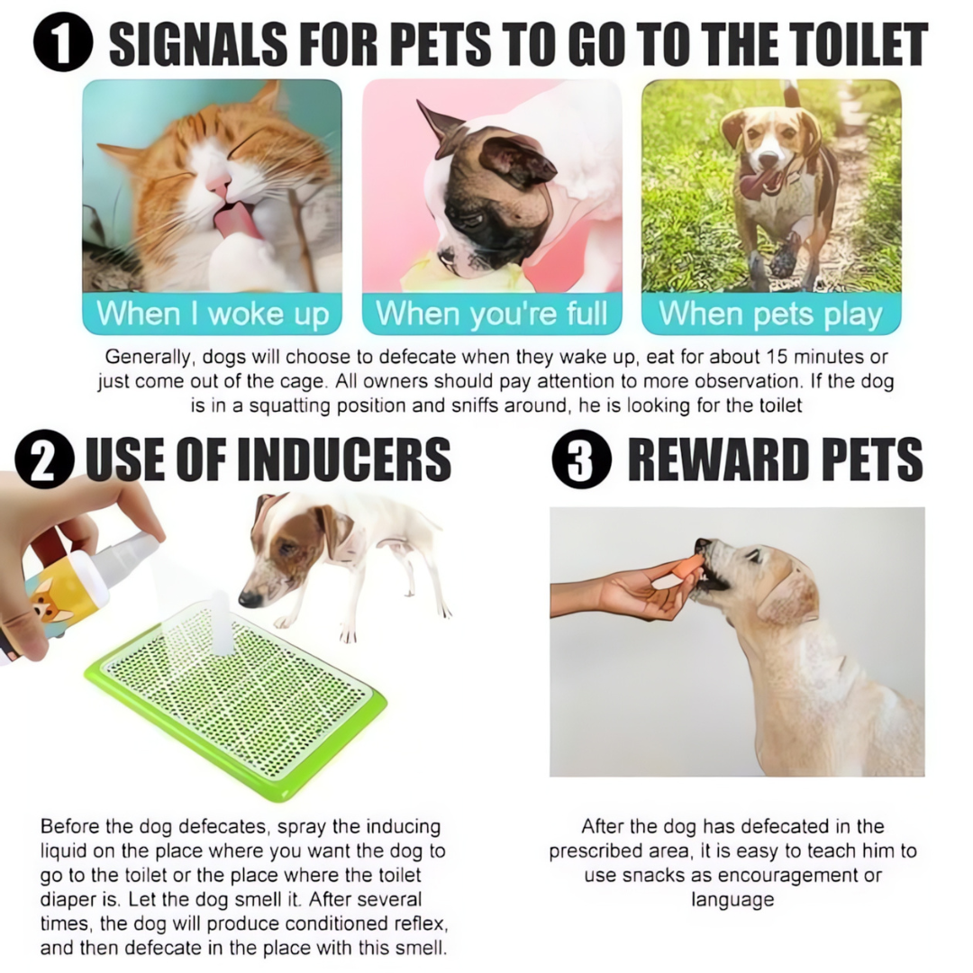 Potty Training Spray for Dog & Cat (Pack of 2)