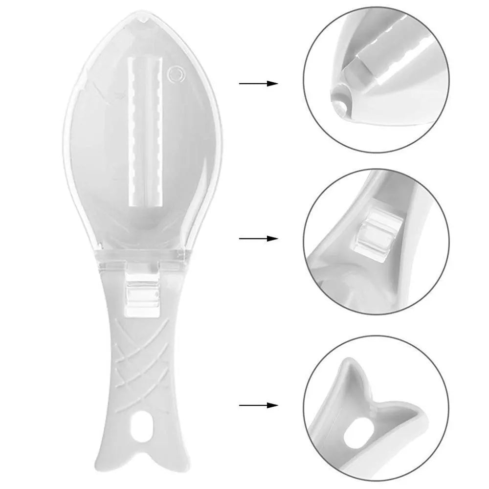 No-Mess Fish Scale Scraper