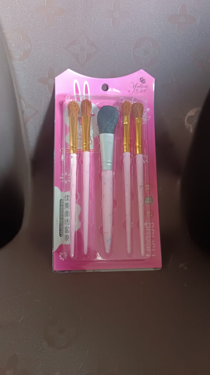 Pro Makeup Brush Kit