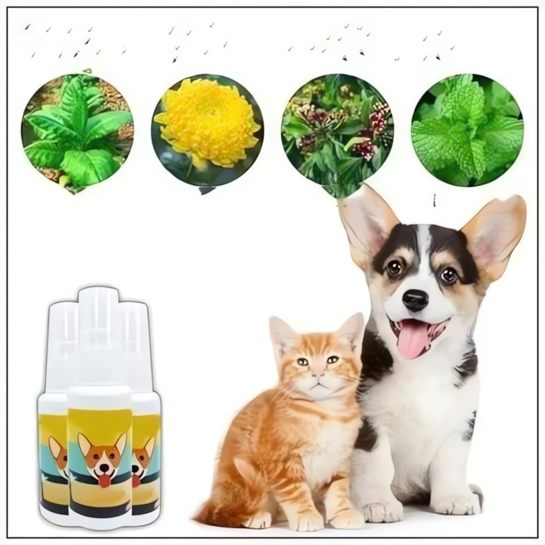 Potty Training Spray for Dog & Cat (Pack of 2)