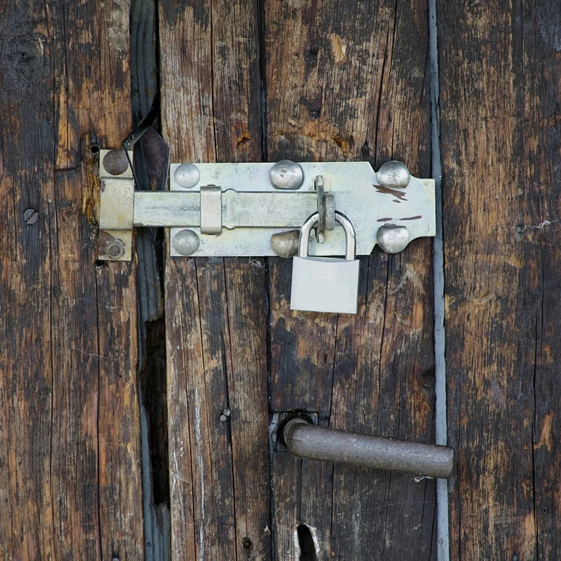 Solid Brass Security Padlock