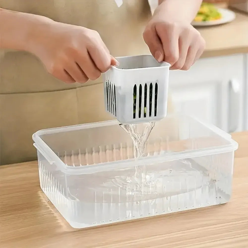 6-compartment food storage box