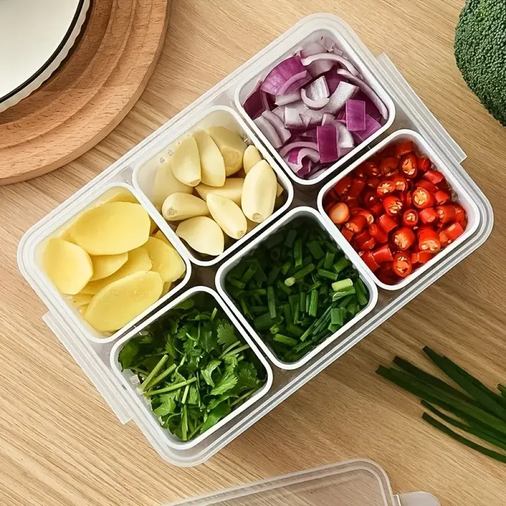 6-compartment food storage box