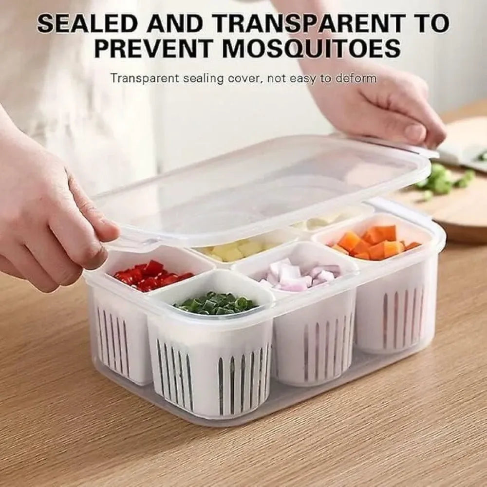 6-compartment food storage box