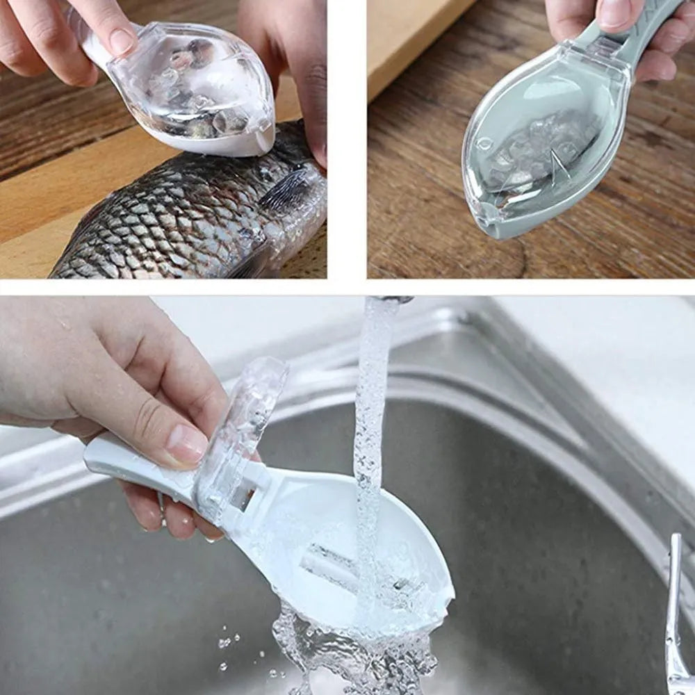 No-Mess Fish Scale Scraper