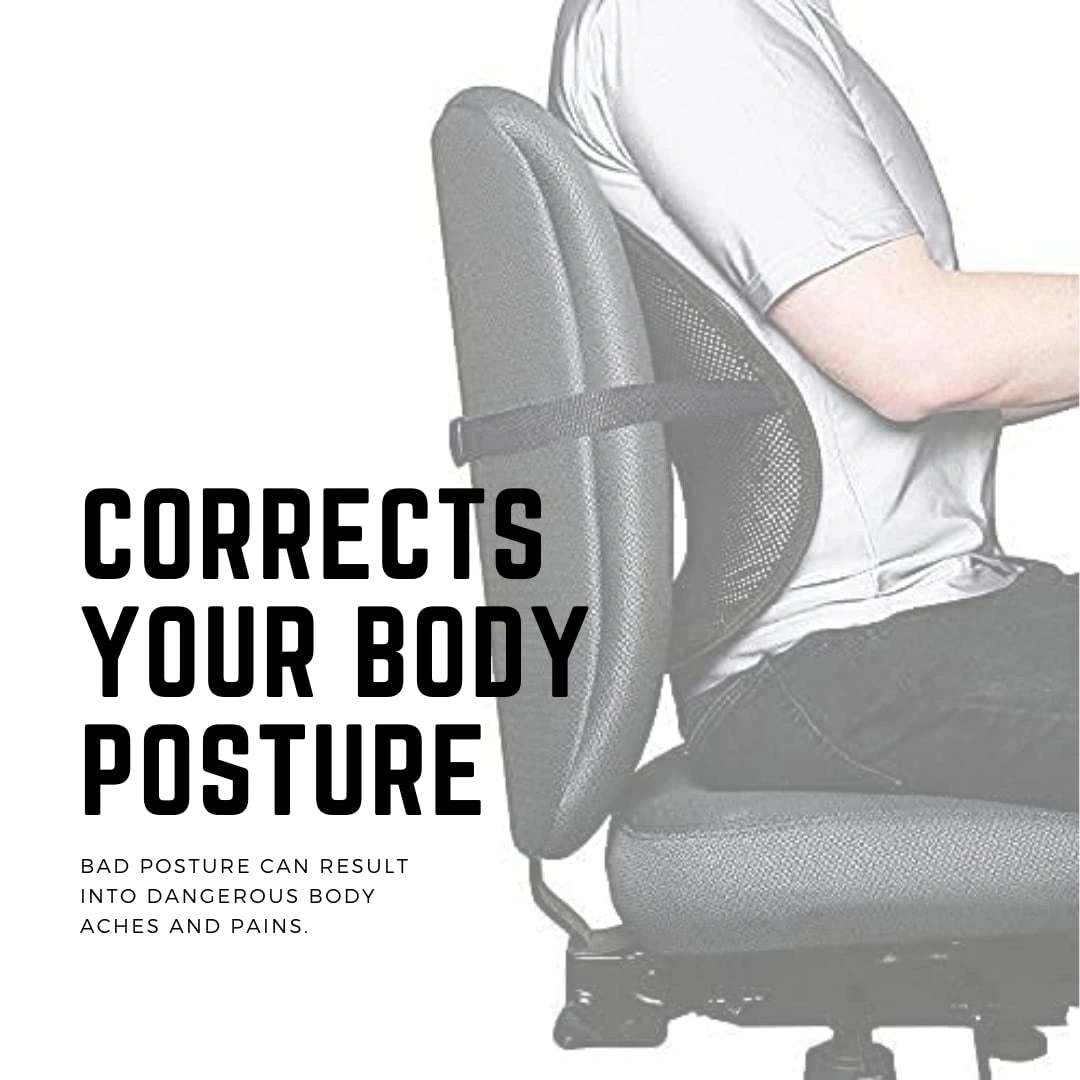 Ventilation Back Rest With Lumbar Support