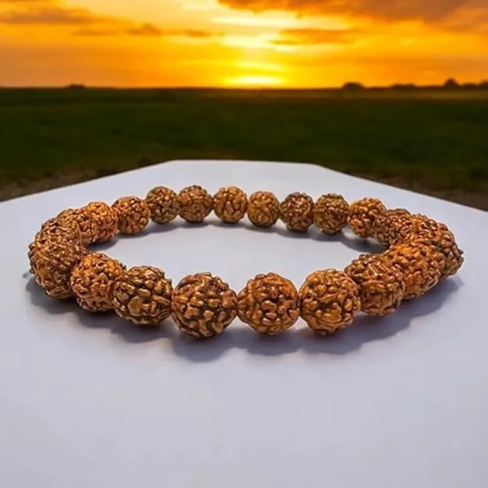 7 mukhi rudraksha bracelet – 1 pc