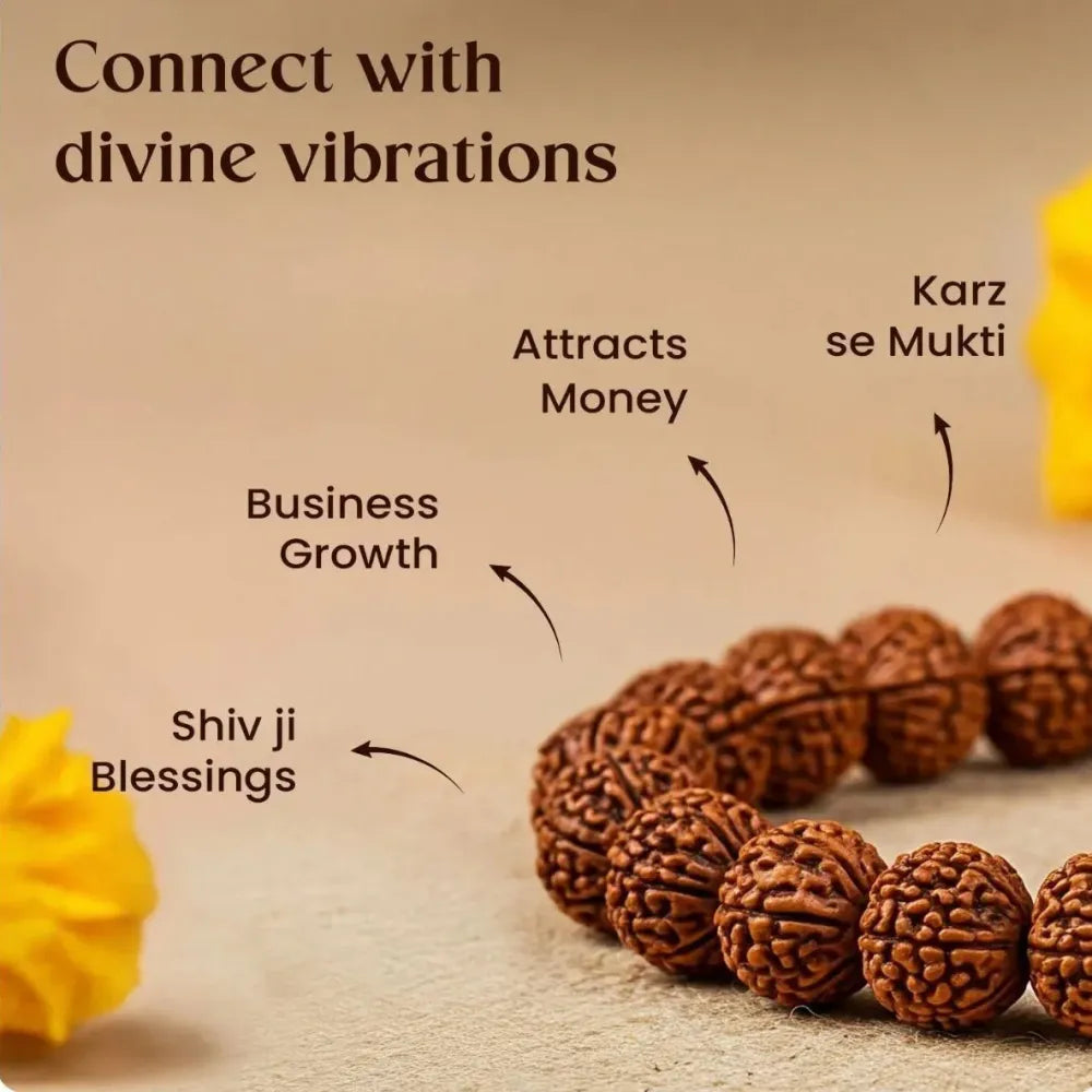 7 mukhi rudraksha bracelet – 1 pc