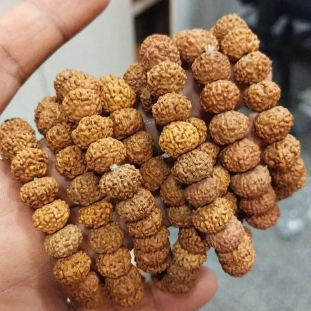 7 mukhi rudraksha bracelet – 1 pc