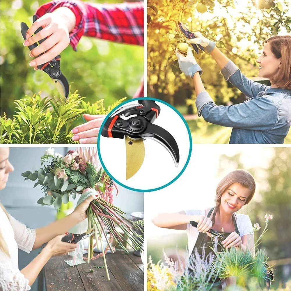 Professional bypass pruners - garden