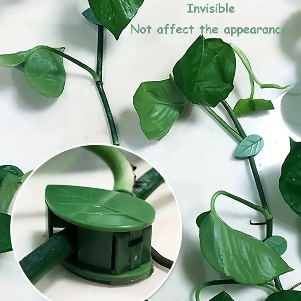 7348 plant climbing wall fixture clip self-adhesive hook vines traction invisible stand green garden support binding