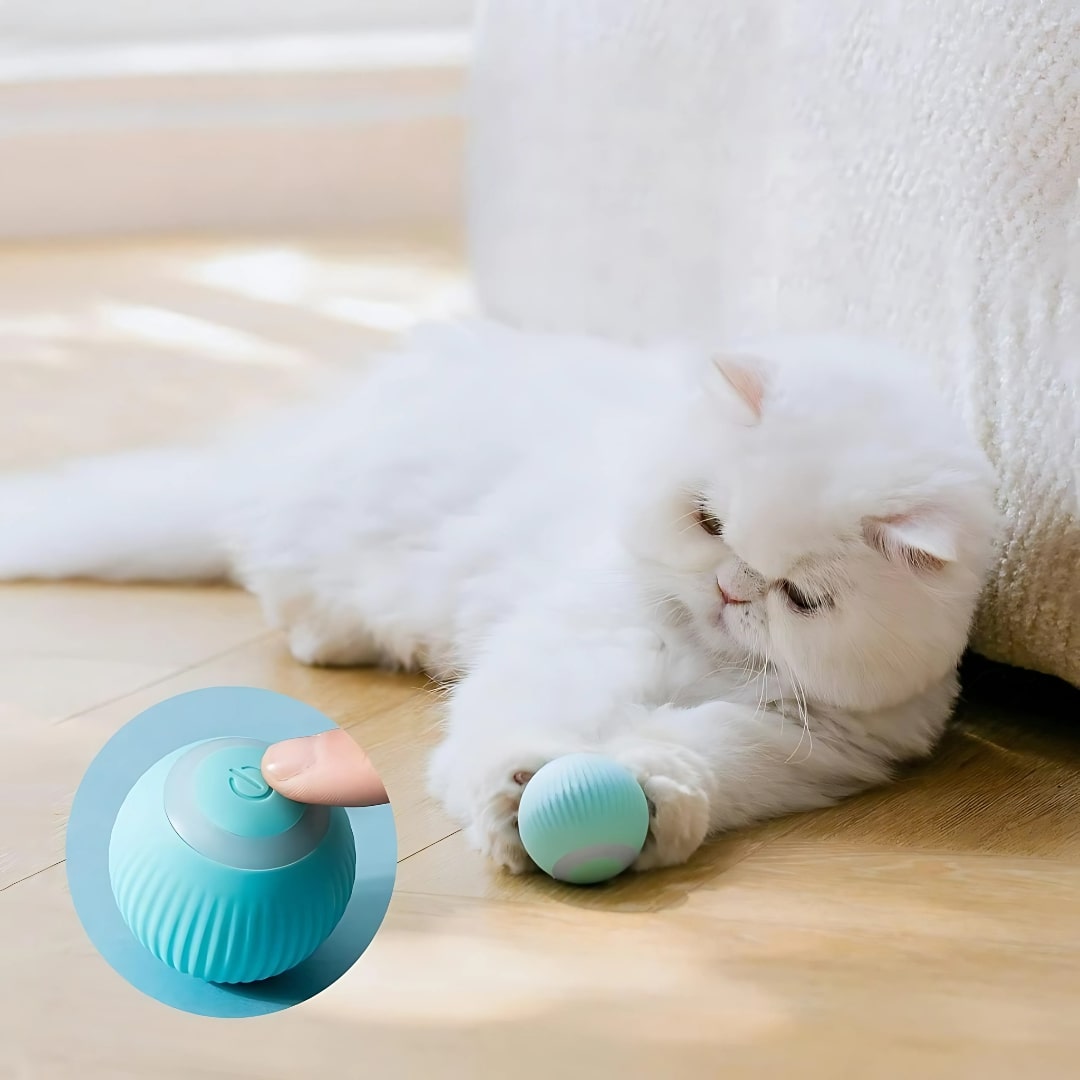 Smart LED Cat Toy Ball