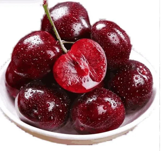 Rainier Cherry Seeds Pack