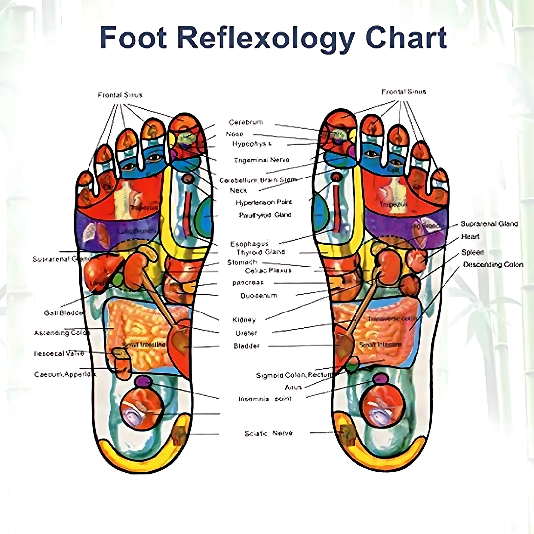 Detox Foot Patches ( Pack of 10 Pcs )