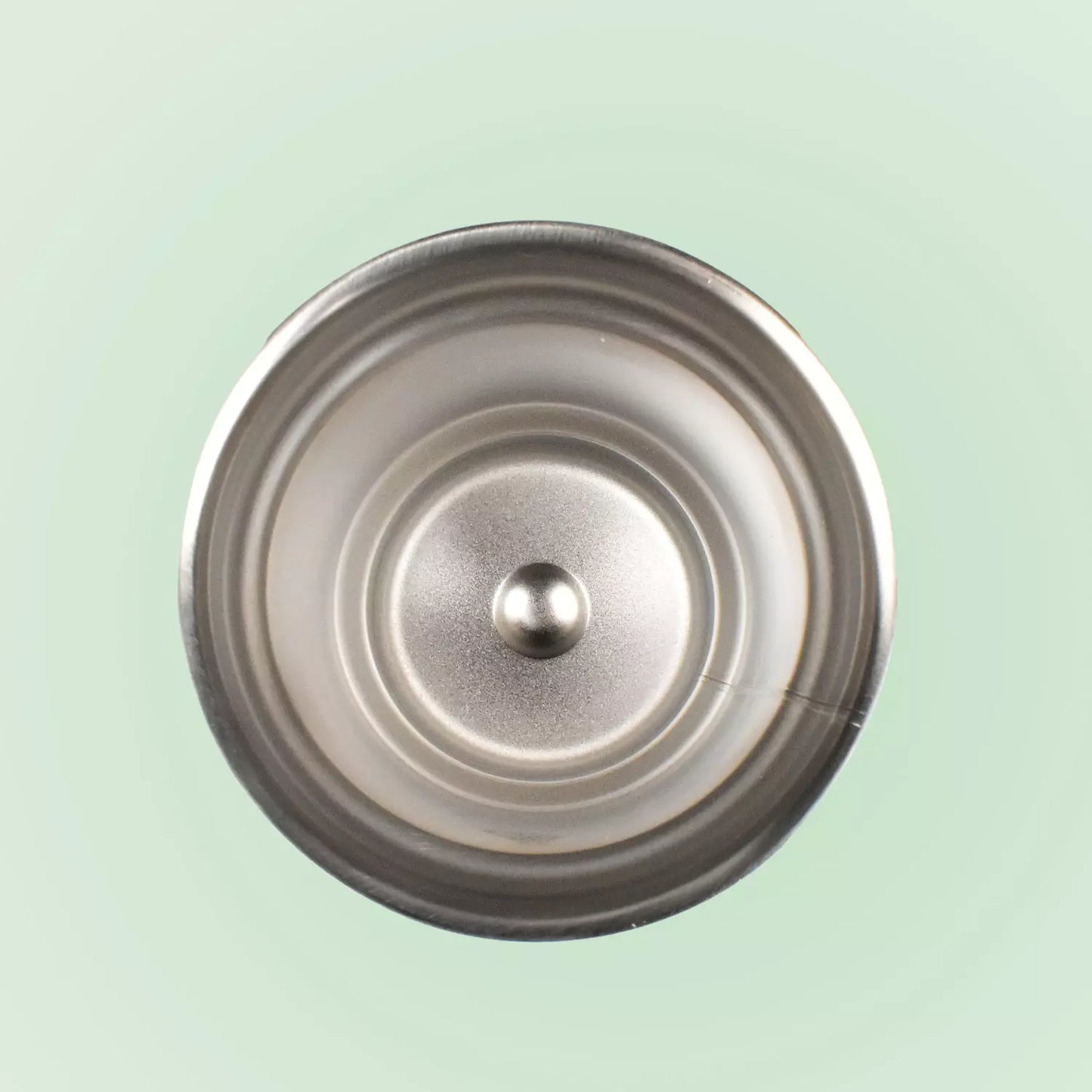Vacuum Insulated Stainless Mug