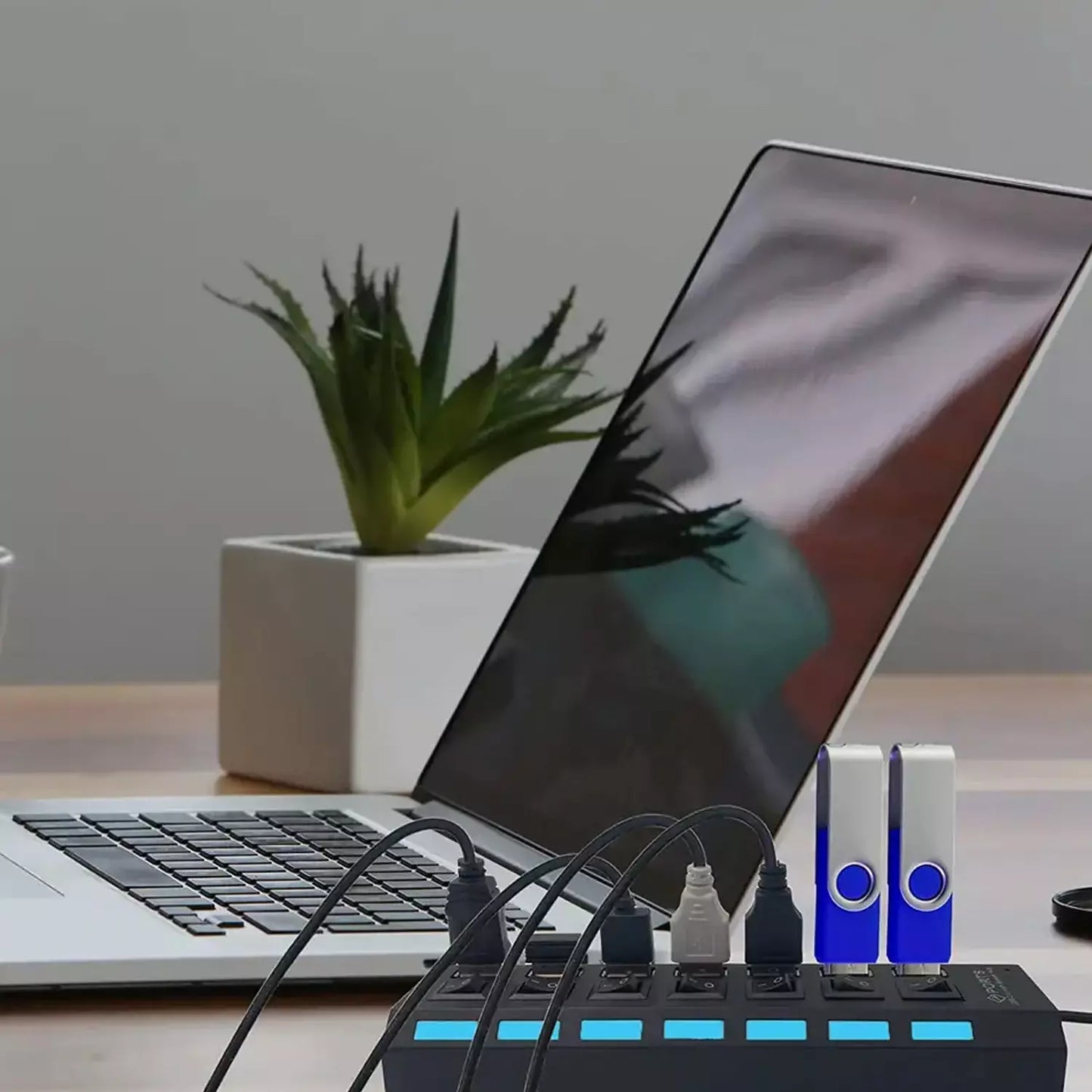 7-Port USB Hub with Switches