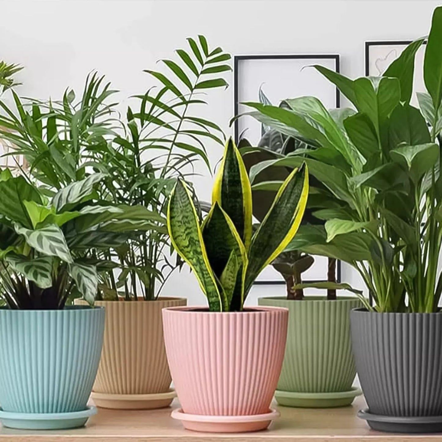 Round Flower Pot Set