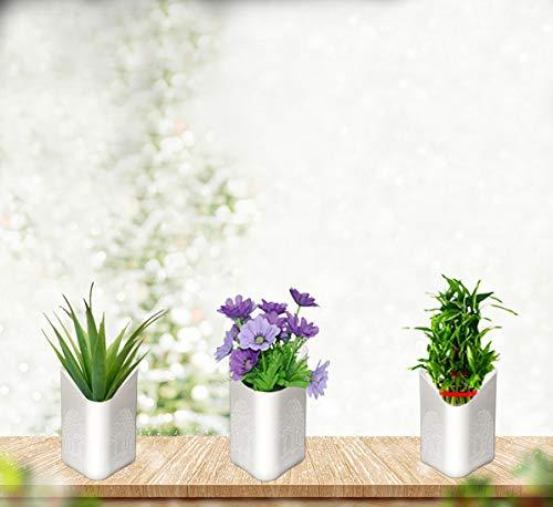 Self-Watering Vertical Planter Set