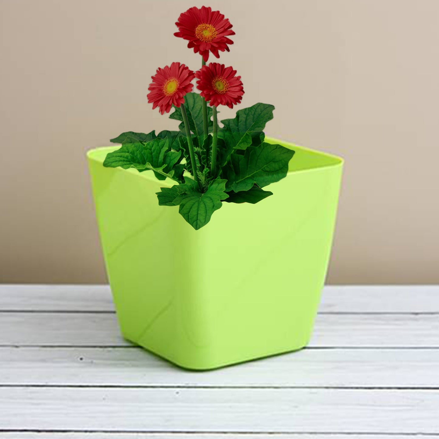 Colorful Square & Round Flower Pots