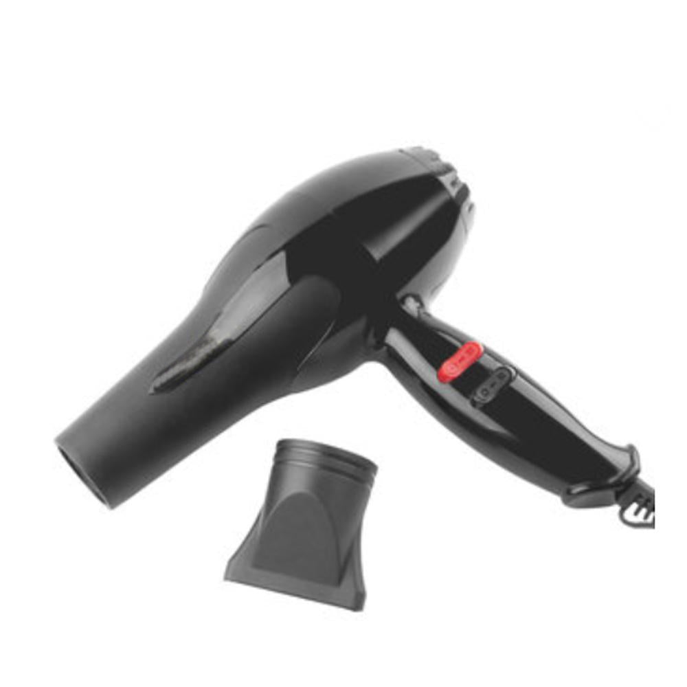 Pro Salon Compact Hair Dryer