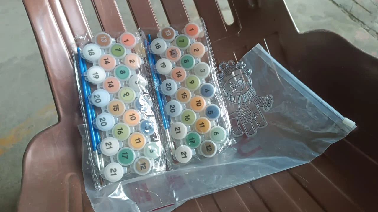 Adult Paint by Numbers Kit