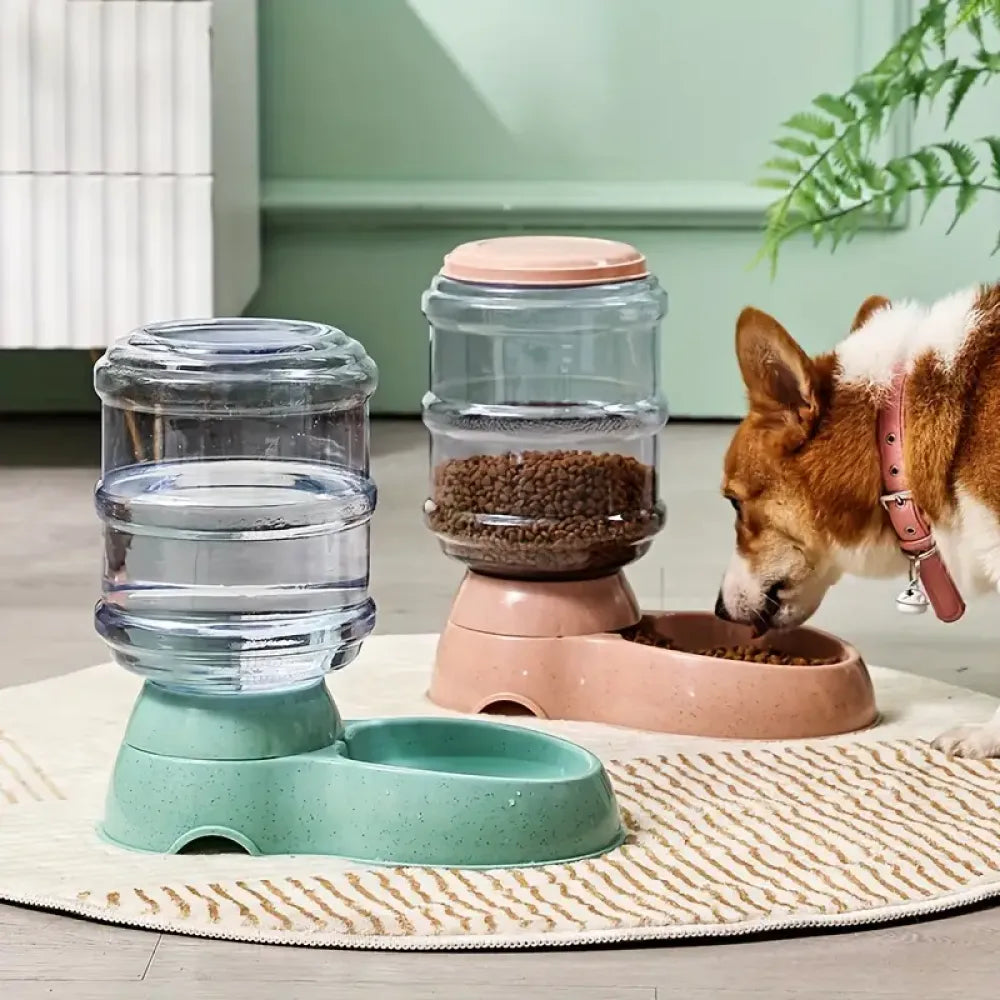 Automatic pet water dispenser - home improvement
