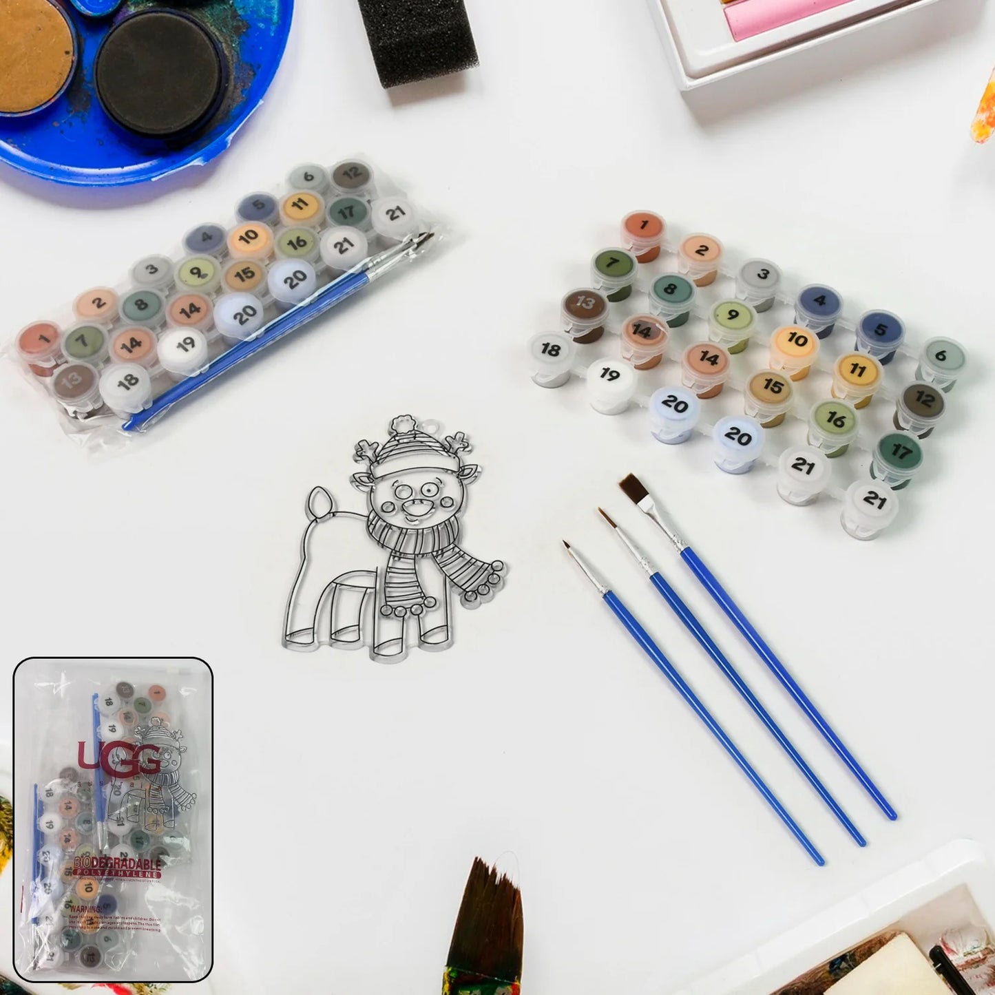 Adult Paint by Numbers Kit