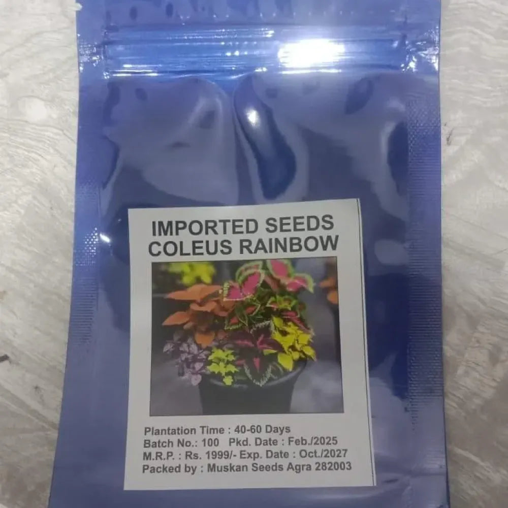 Coleus rainbow plant seeds