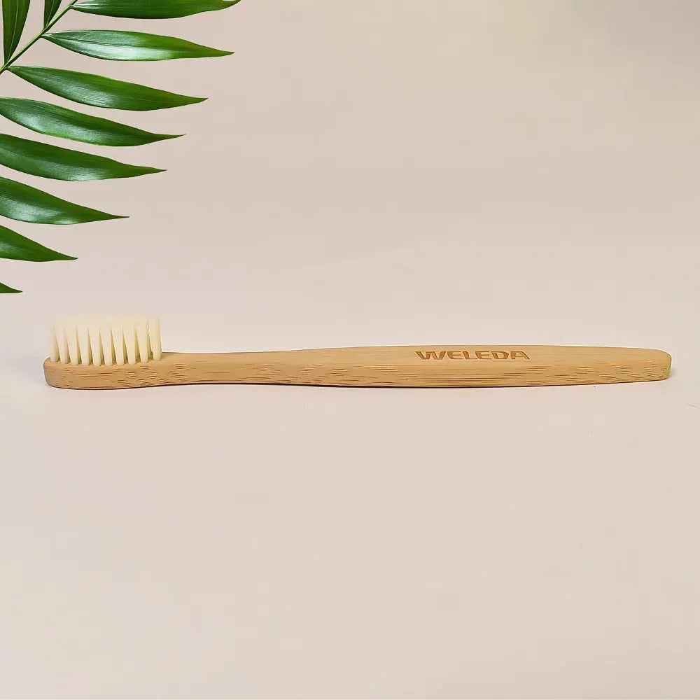 Eco-friendly bamboo toothbrush - home improvement