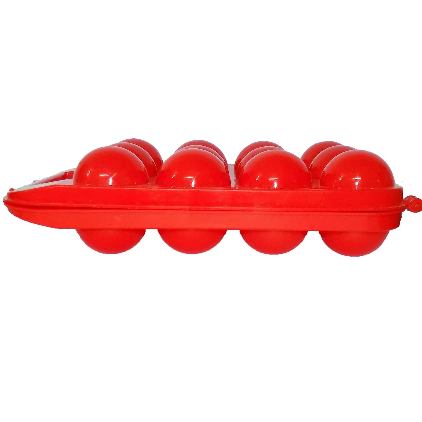 Plastic Egg Storage Tray with Lid - Home & Kitchen