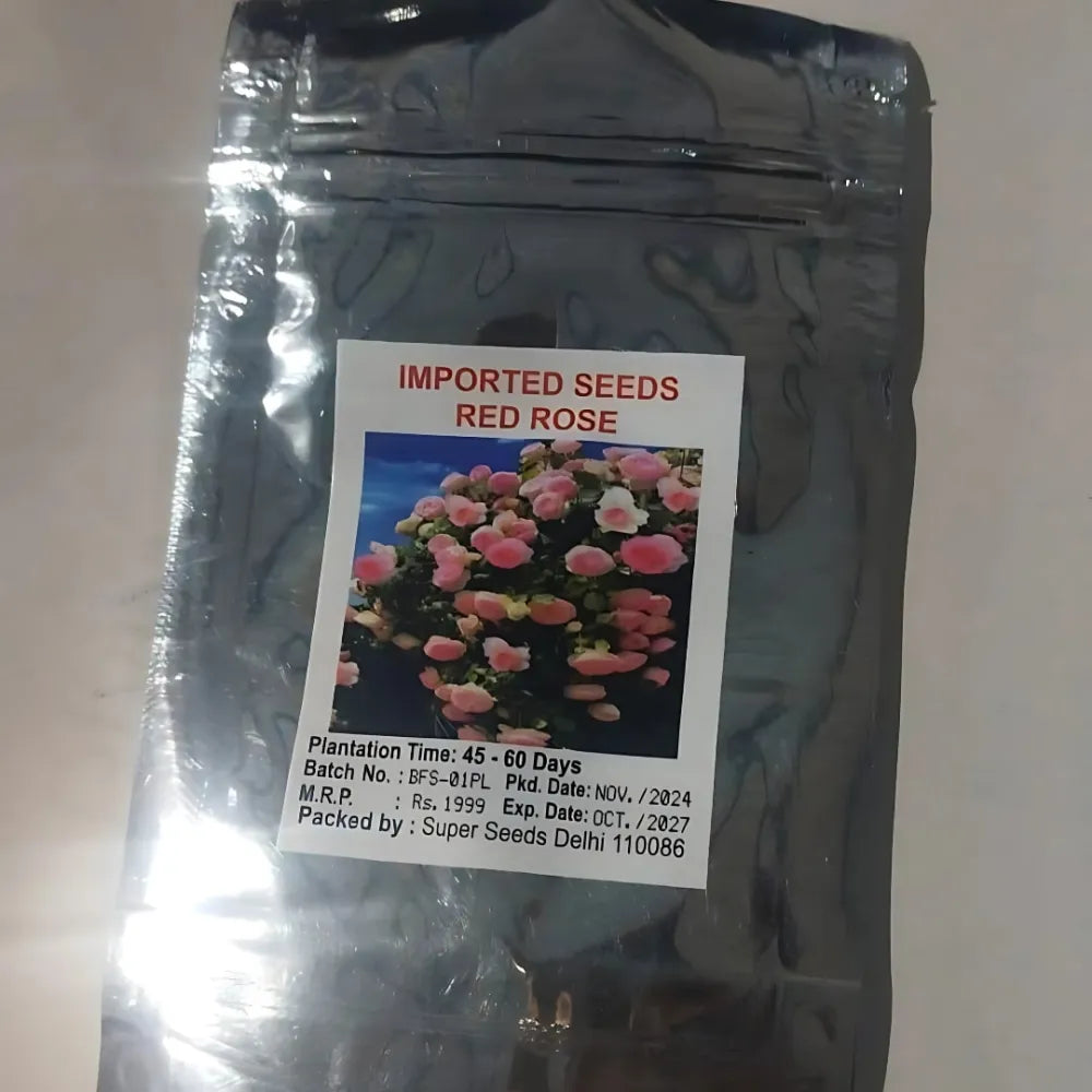 Elegant climbing rose flower seeds