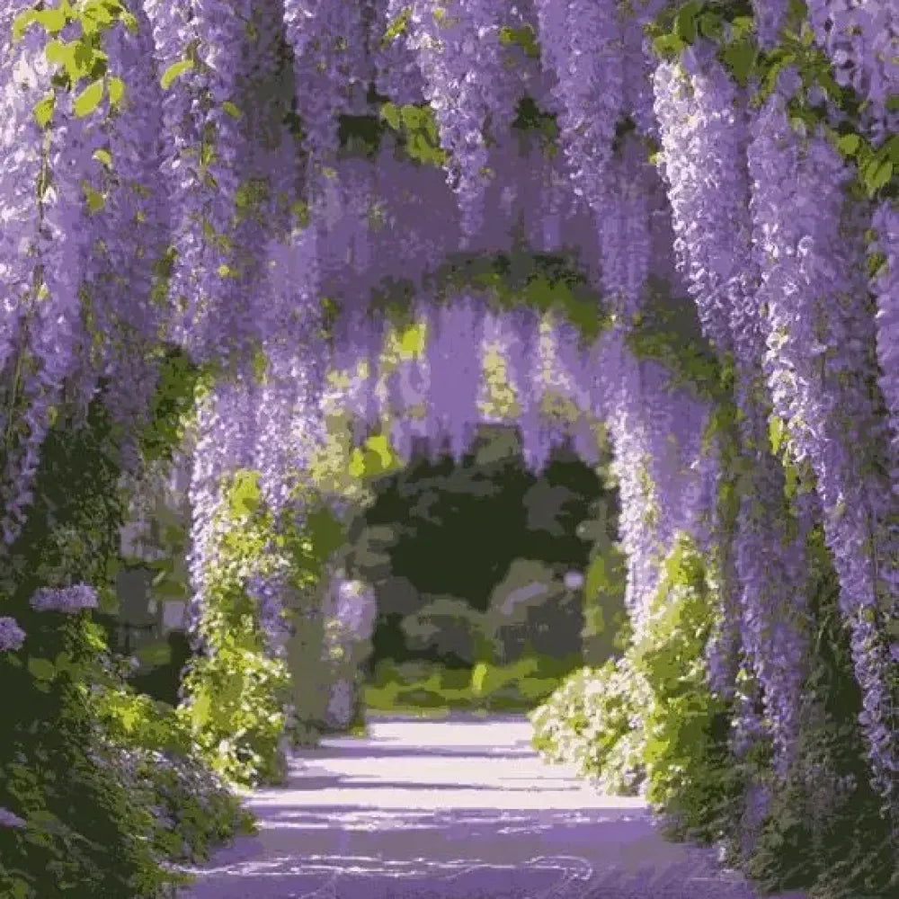 Ever-blooming cascade flowers - gardening
