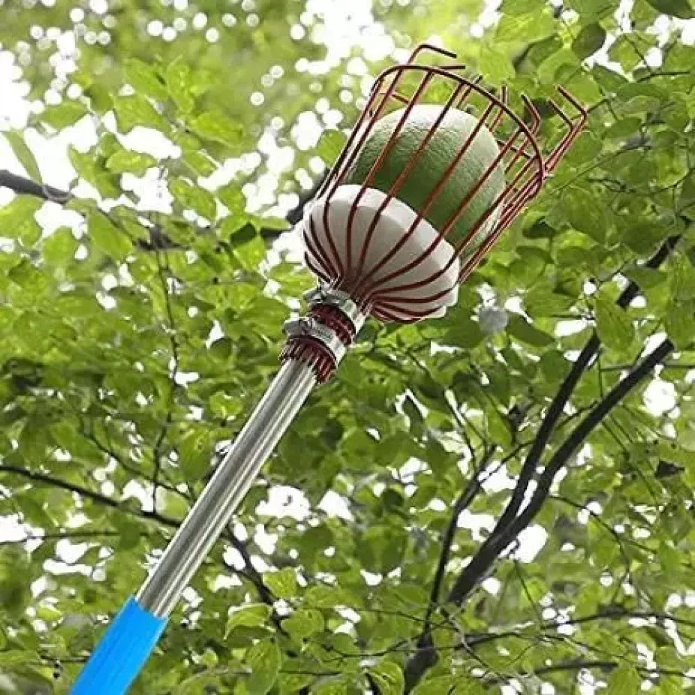 Fruit picker tool (head only) - home essentials