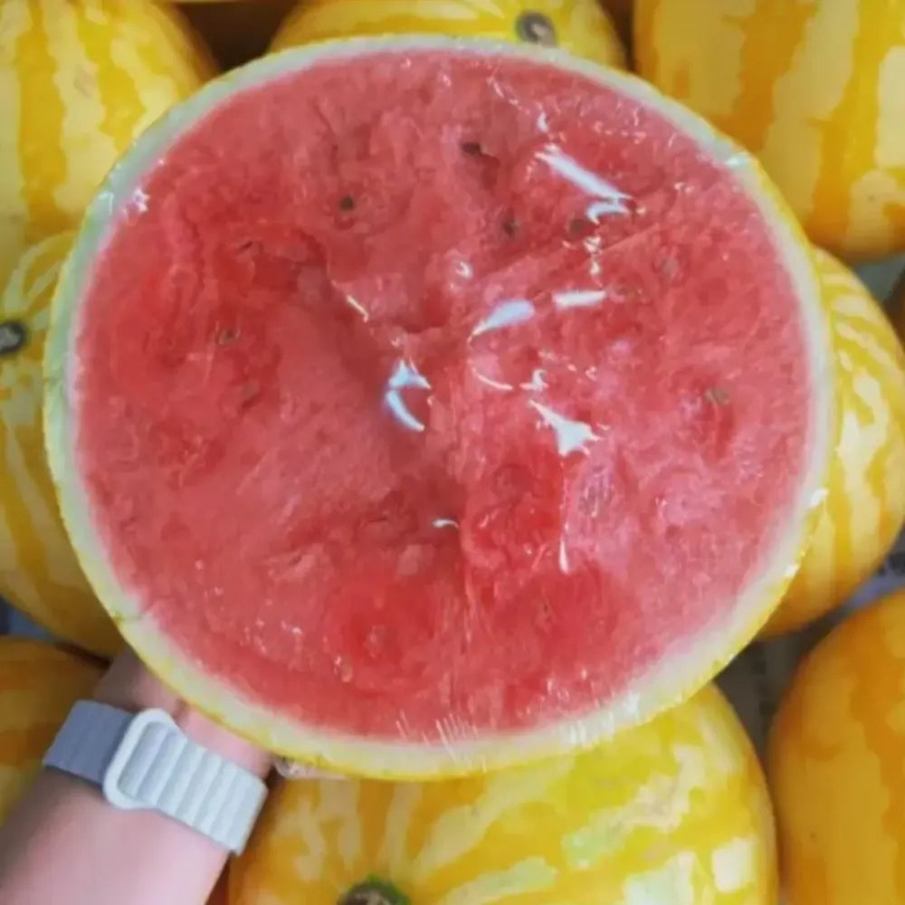 Golden red watermelon seeds - gardening