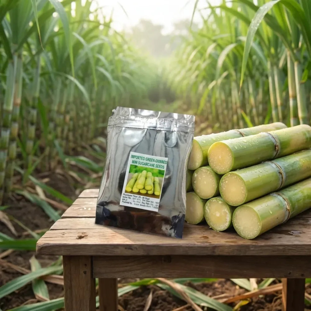 Green-skinned mini sugarcane seeds