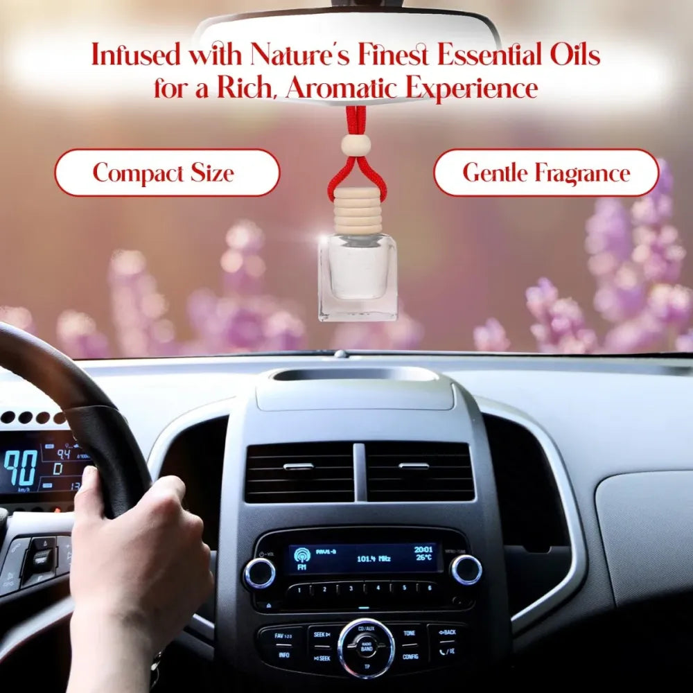 Hanging car perfume pods diffuser