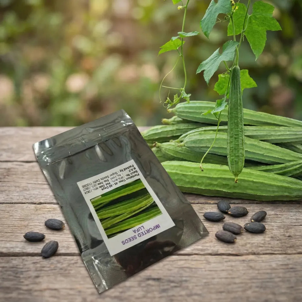 Heirloom luffa gourd seeds - gardening