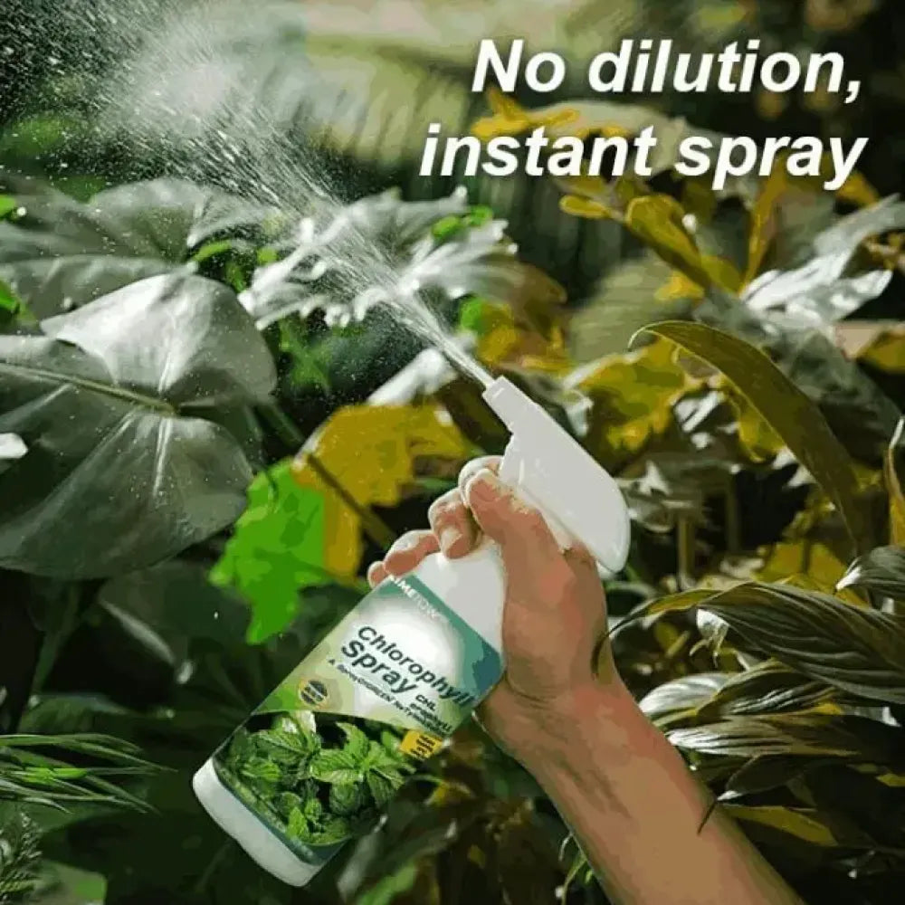 Instant green chlorophyll spray - gardening