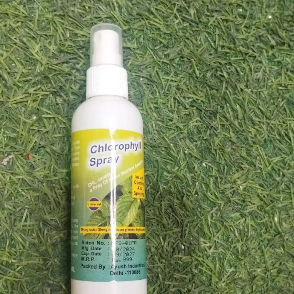 Instant green chlorophyll spray - gardening