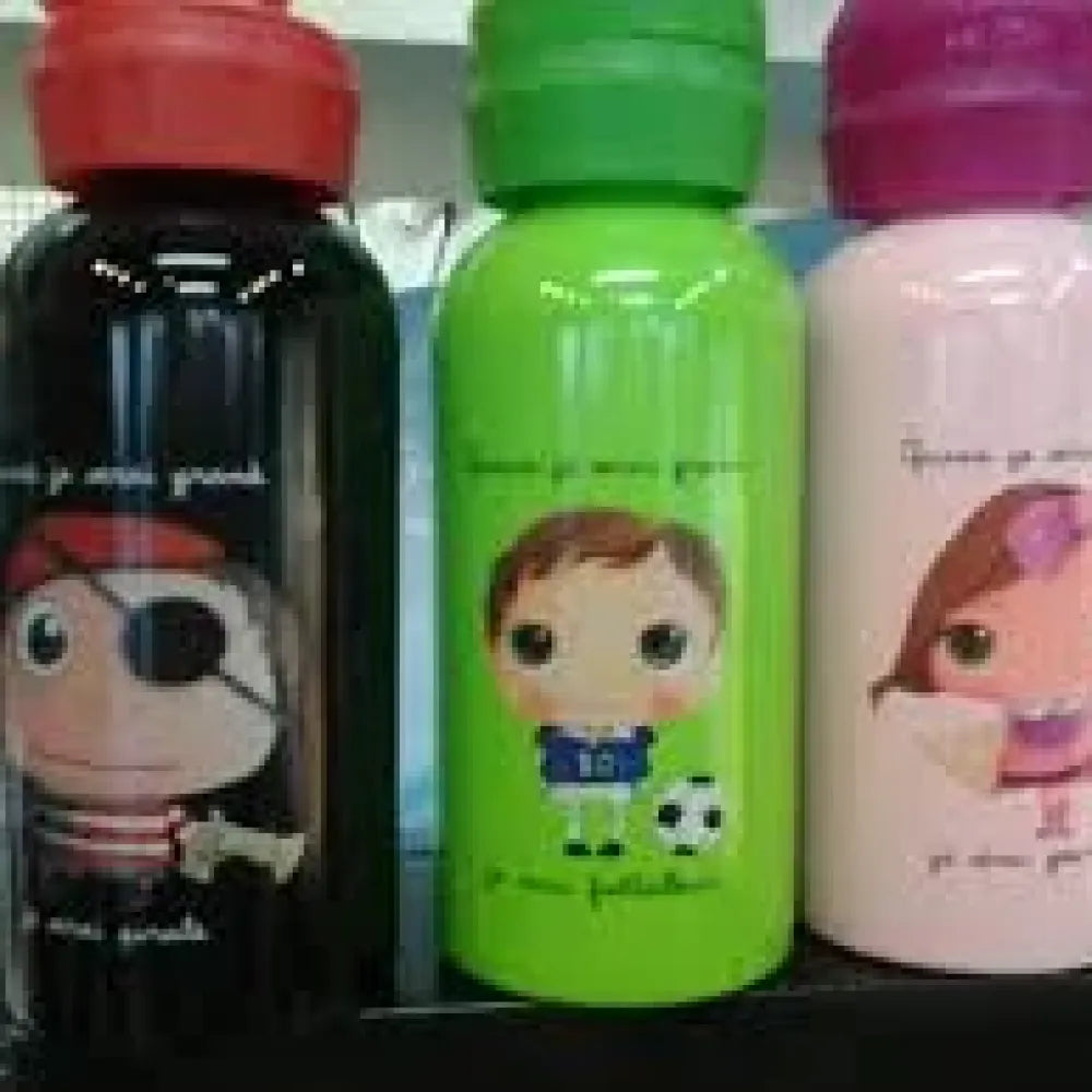 Insulated leak-proof water bottle - office